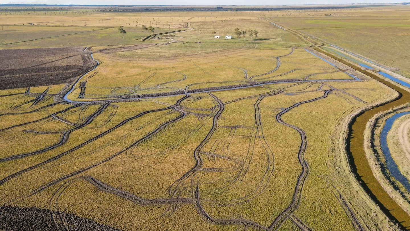 Venta campo 740 hás Rocha agrícola ganadero R 7085 — foto 7