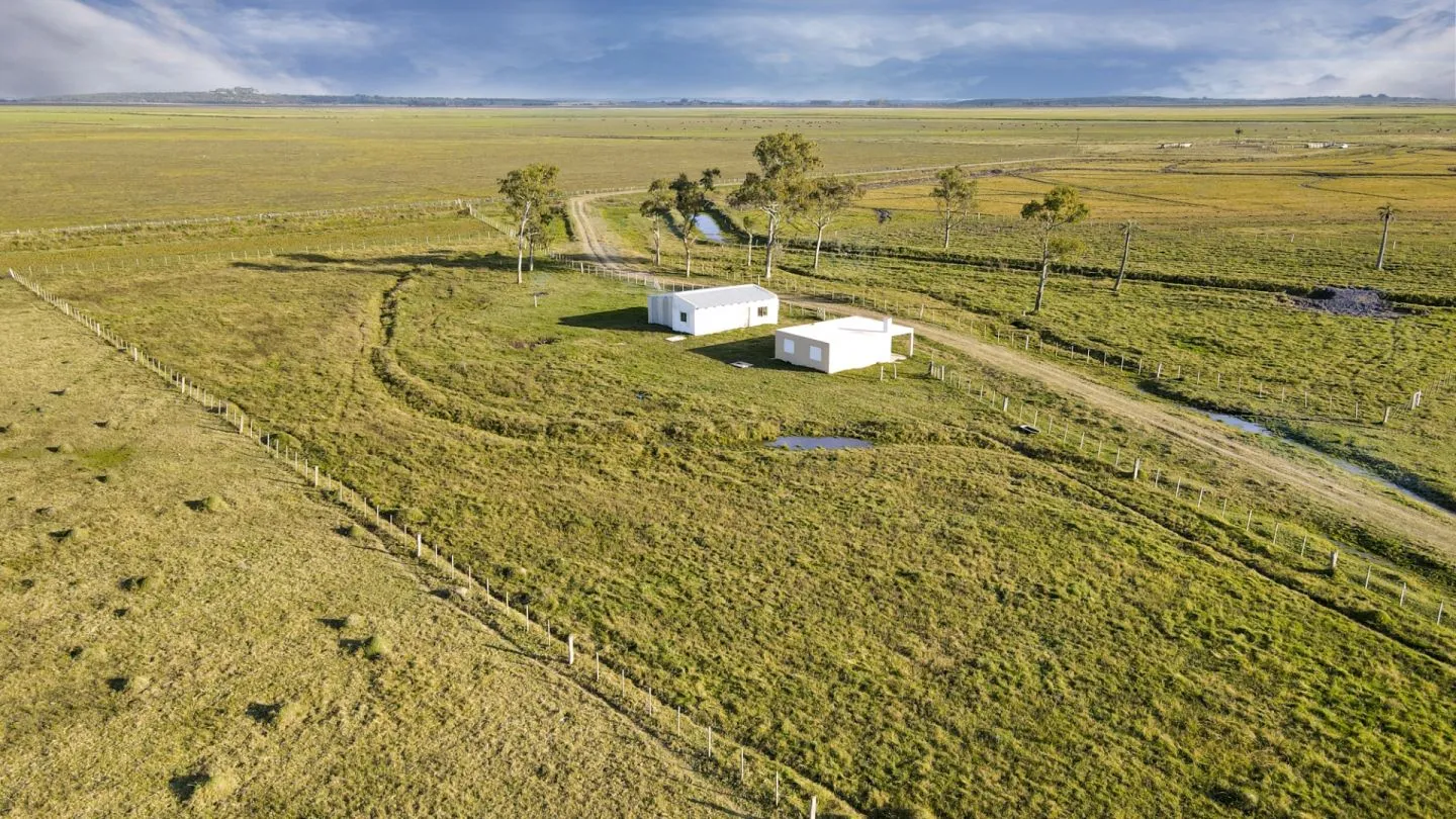 Venta campo 740 hás Rocha agrícola ganadero R 7085 — foto 8