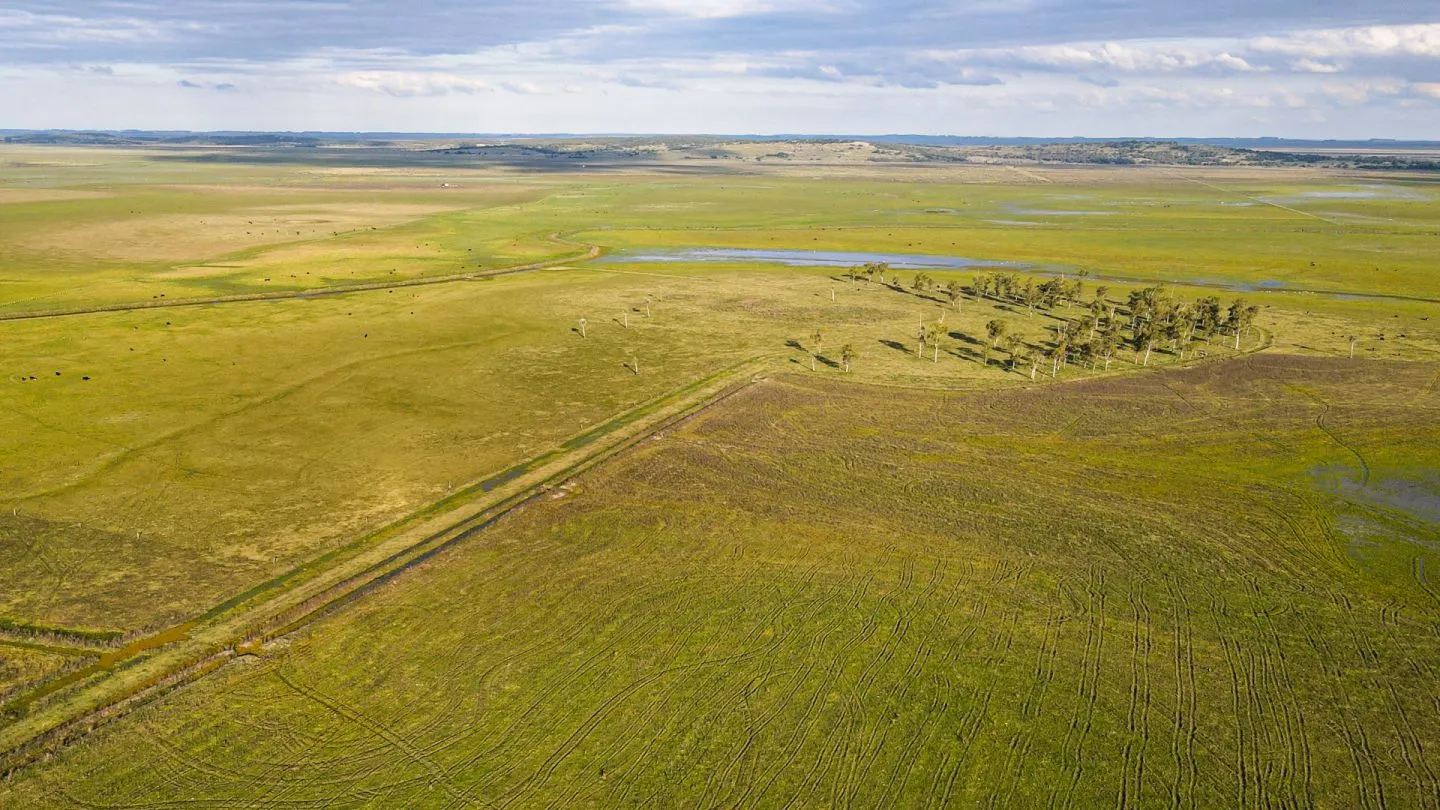 Venta campo 740 hás Rocha agrícola ganadero R 7085 — foto 10