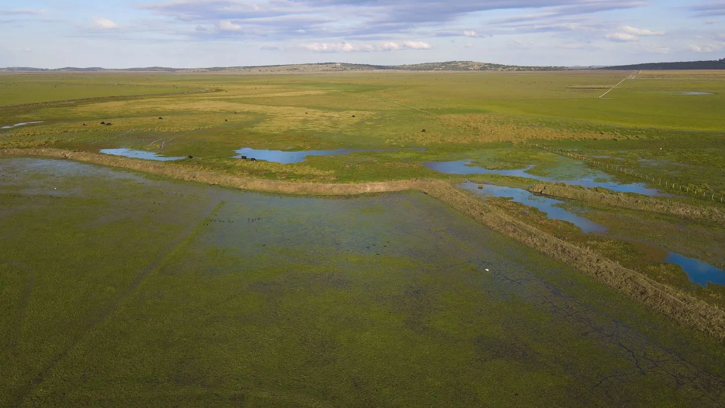 Venta campo 740 hás Rocha agrícola ganadero R 7085 — foto 13