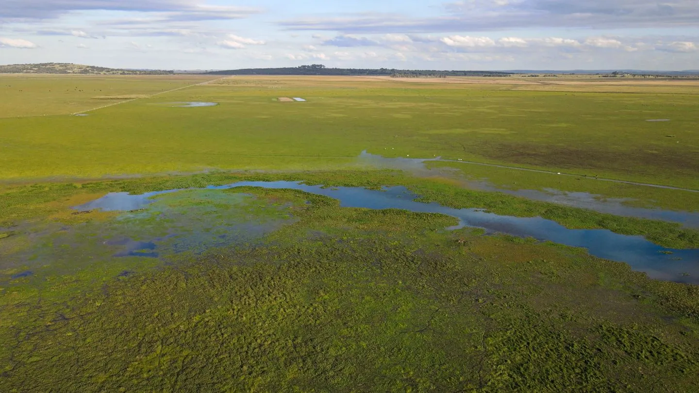 Venta campo 740 hás Rocha agrícola ganadero R 7085 — foto 14