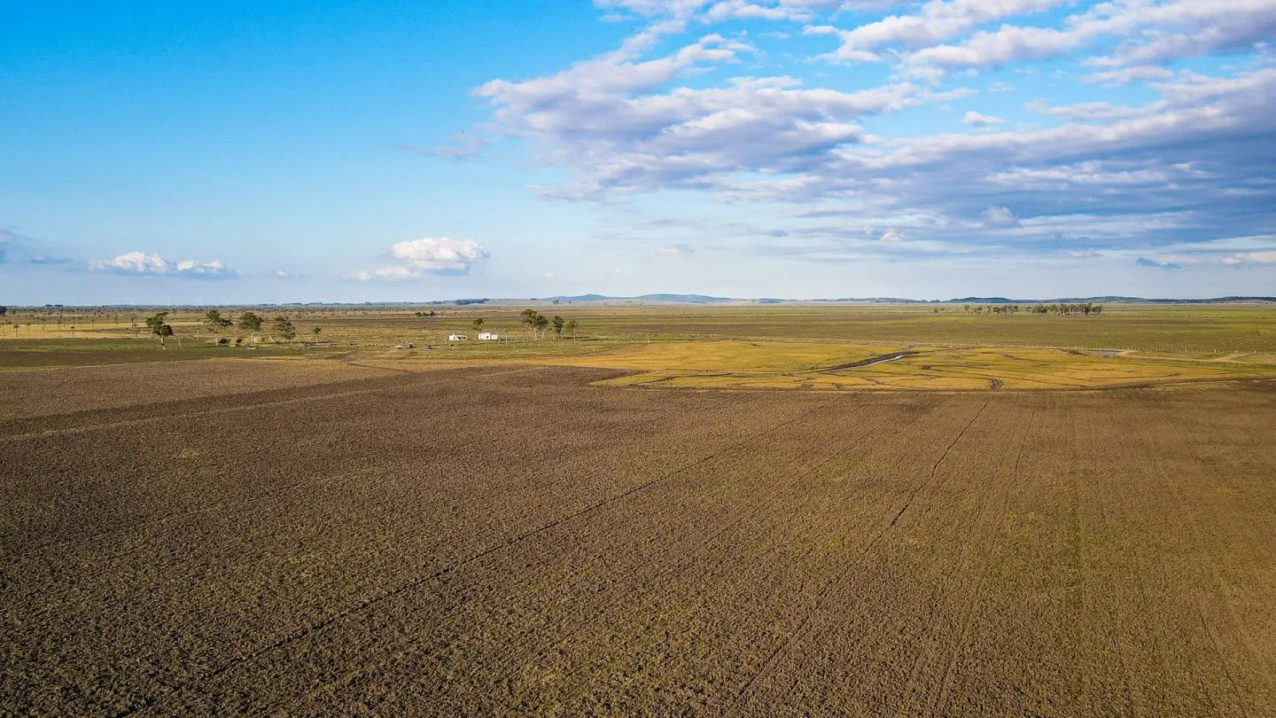 Venta campo 740 hás Rocha agrícola ganadero R 7085 — foto 15