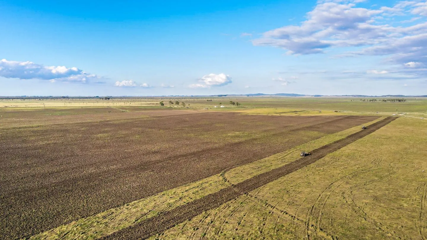 Venta campo 740 hás Rocha agrícola ganadero R 7085 — foto 16