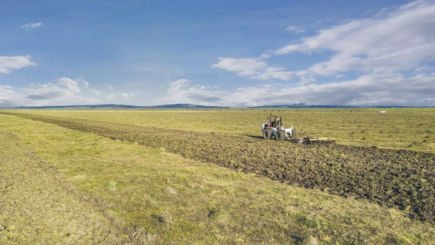 Venta campo 740 hás Rocha agrícola ganadero R 7085 — foto 17