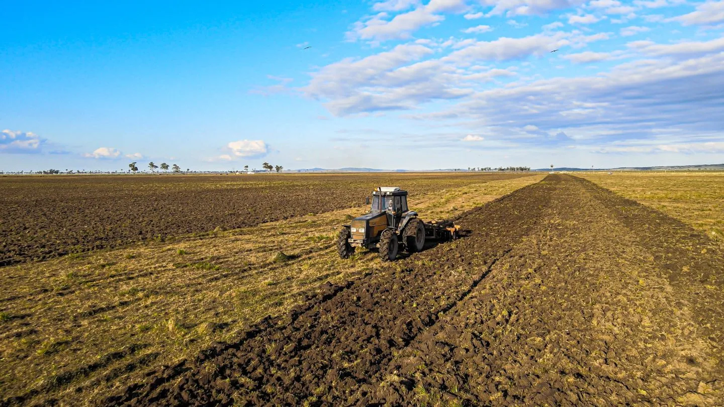 Venta campo 740 hás Rocha agrícola ganadero R 7085 — foto 18