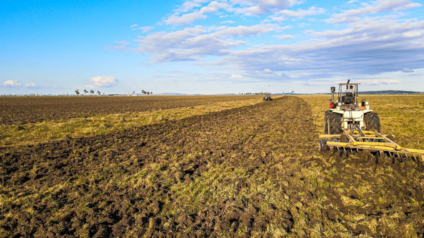 Venta campo 740 hás Rocha agrícola ganadero R 7085 — foto 19