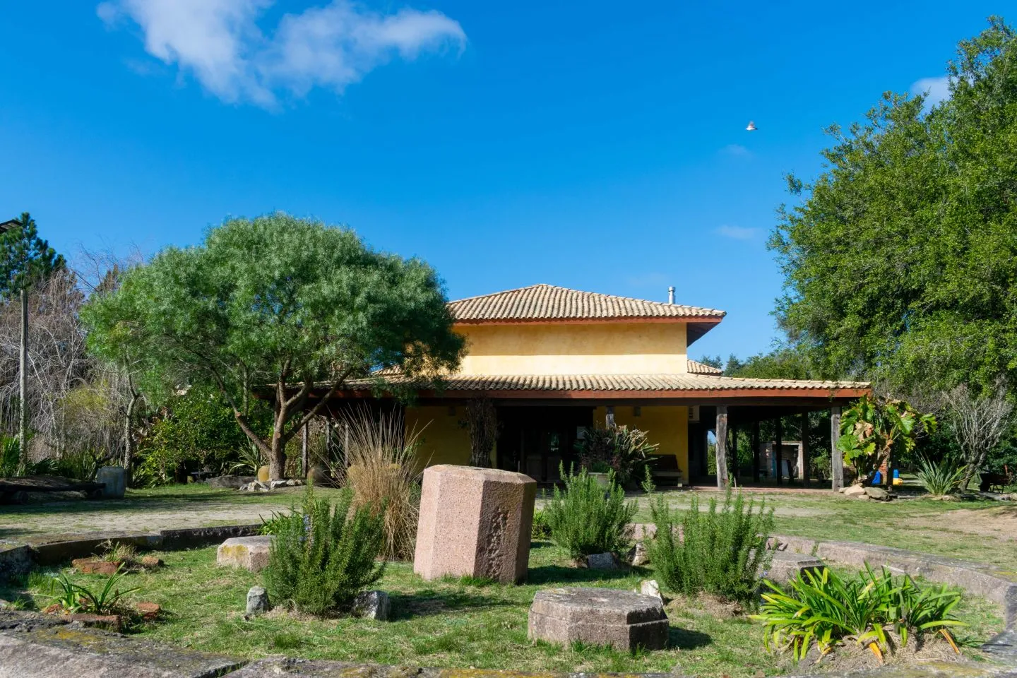 Venta chacra 37has c/casa ycosta de arroyo en Jose Ignacio — foto 2