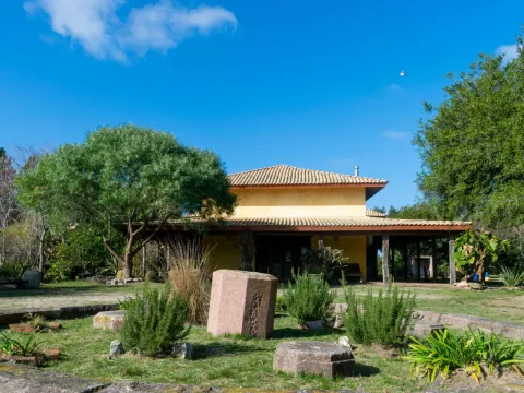 Venta chacra 37has c/casa ycosta de arroyo en Jose Ignacio — foto 2