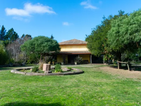 Venta chacra 37has c/casa ycosta de arroyo en Jose Ignacio — foto 4