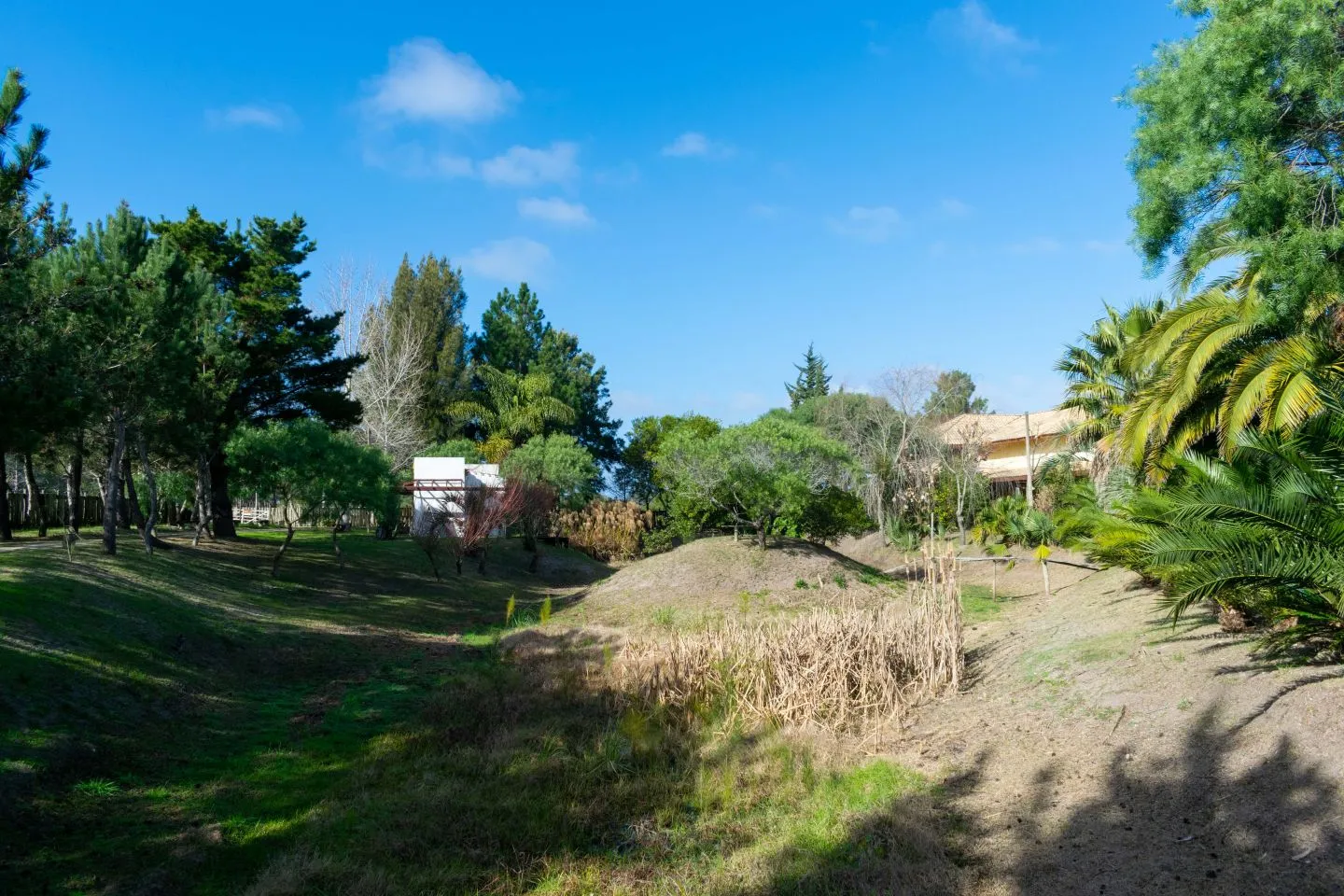 Venta chacra 37has c/casa ycosta de arroyo en Jose Ignacio — foto 5