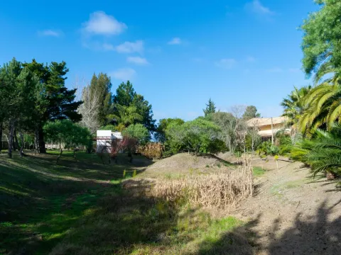 Venta chacra 37has c/casa ycosta de arroyo en Jose Ignacio — foto 5