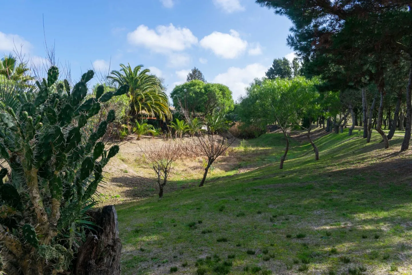 Venta chacra 37has c/casa ycosta de arroyo en Jose Ignacio — foto 8