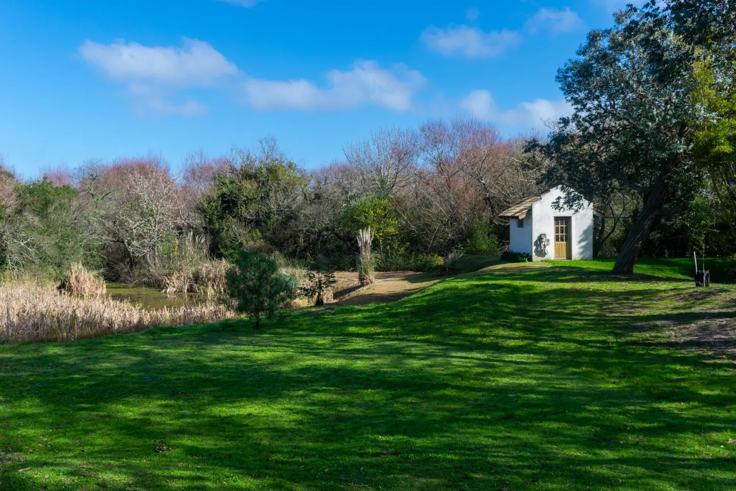 Venta chacra 37has c/casa ycosta de arroyo en Jose Ignacio — foto 9