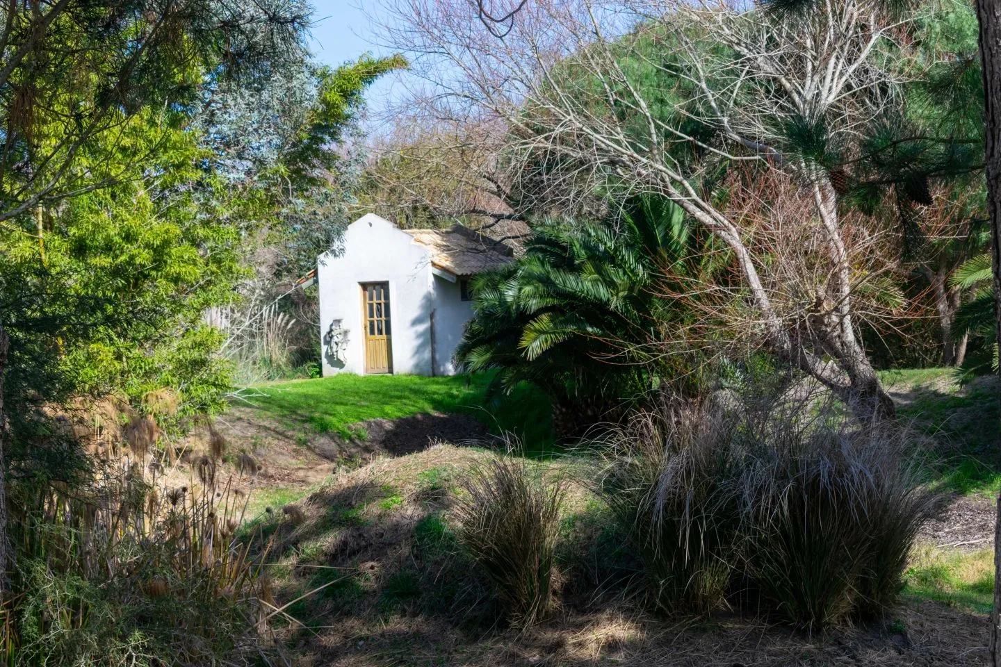 Venta chacra 37has c/casa ycosta de arroyo en Jose Ignacio — foto 10