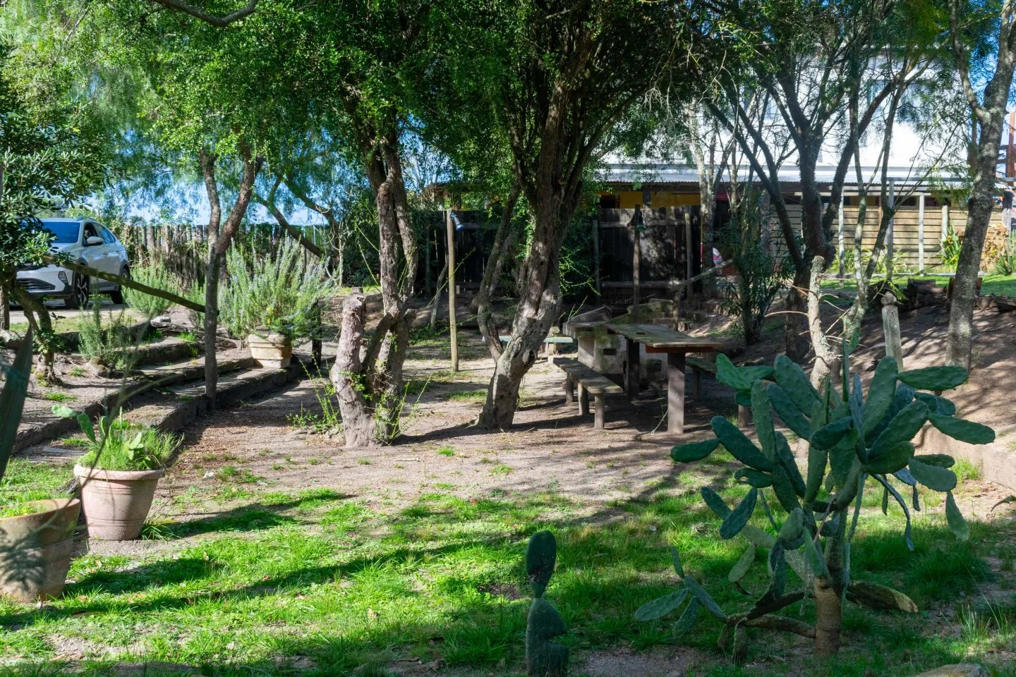 Venta chacra 37has c/casa ycosta de arroyo en Jose Ignacio — foto 11