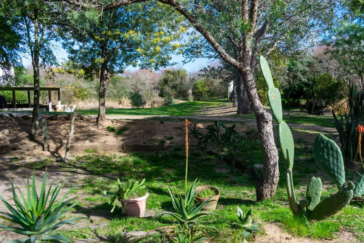 Venta chacra 37has c/casa ycosta de arroyo en Jose Ignacio — foto 14