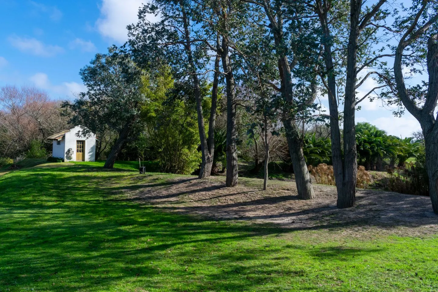 Venta chacra 37has c/casa ycosta de arroyo en Jose Ignacio — foto 15