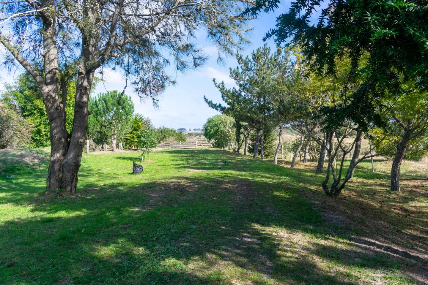 Venta chacra 37has c/casa ycosta de arroyo en Jose Ignacio — foto 16