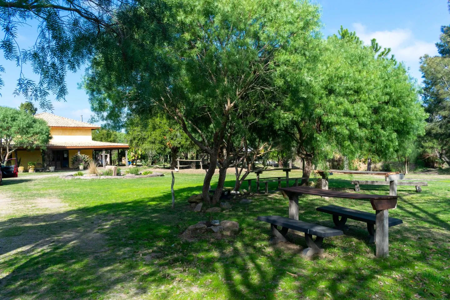 Venta chacra 37has c/casa ycosta de arroyo en Jose Ignacio — foto 17