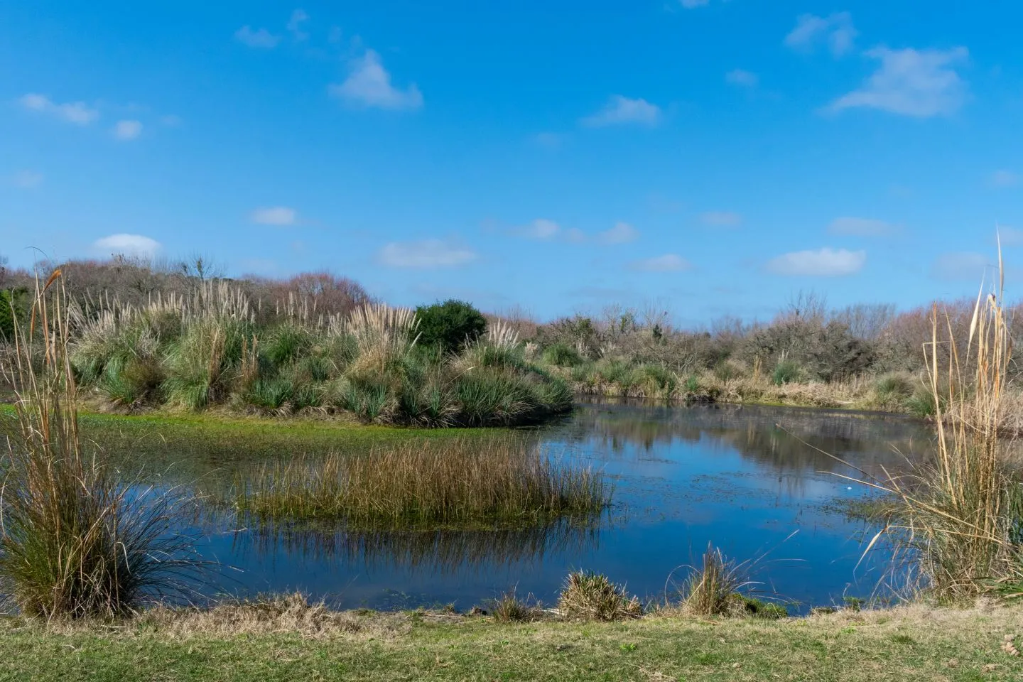 Venta chacra 37has c/casa ycosta de arroyo en Jose Ignacio — foto 24
