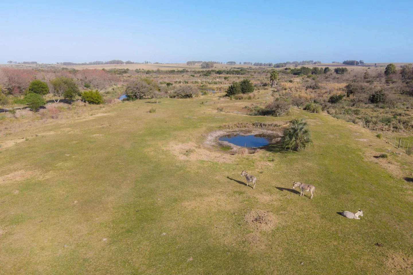Venta chacra 37has c/casa ycosta de arroyo en Jose Ignacio — foto 26