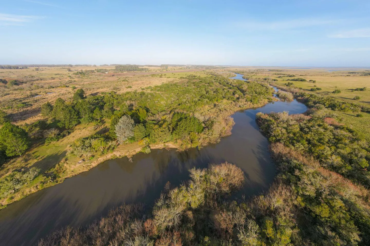 Venta chacra 37has c/casa ycosta de arroyo en Jose Ignacio — foto 27