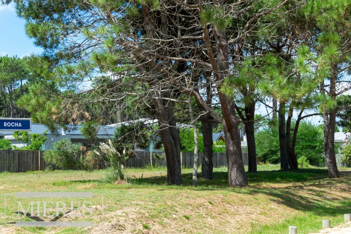 Terreno en José Ignacio — foto 2