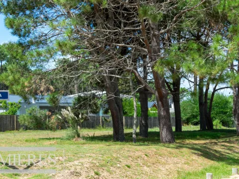 Terreno en José Ignacio — foto 2