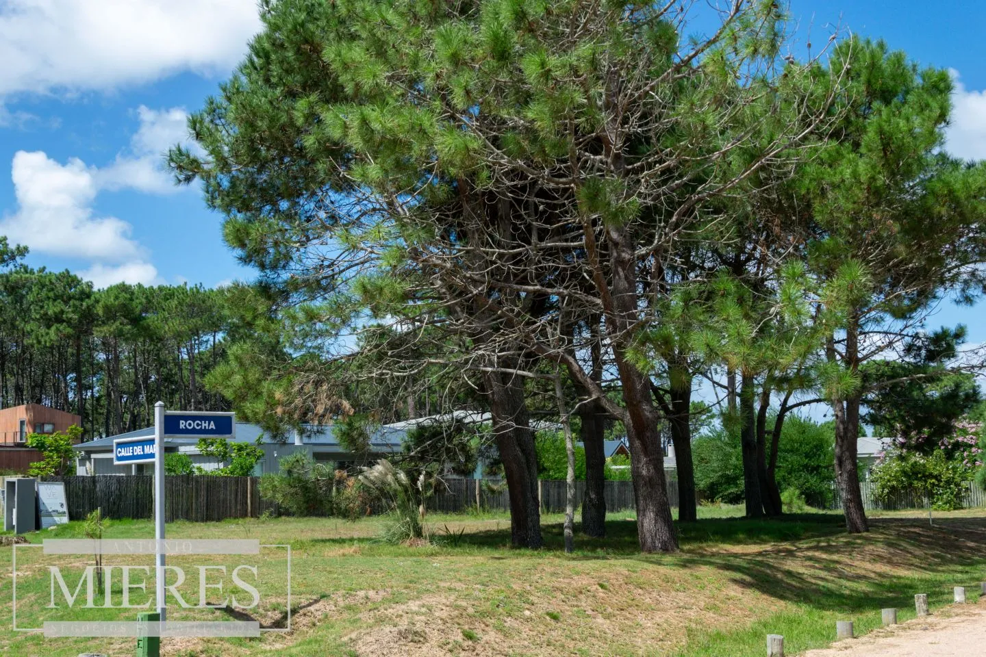 Terreno en José Ignacio — foto 5