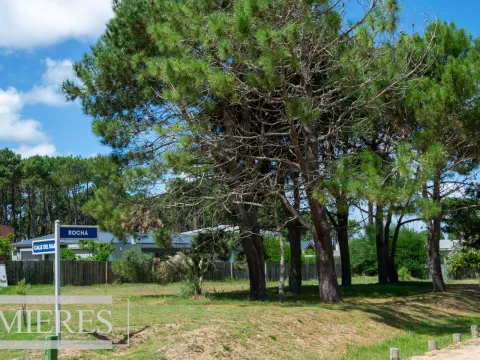 Terreno en José Ignacio — foto 5