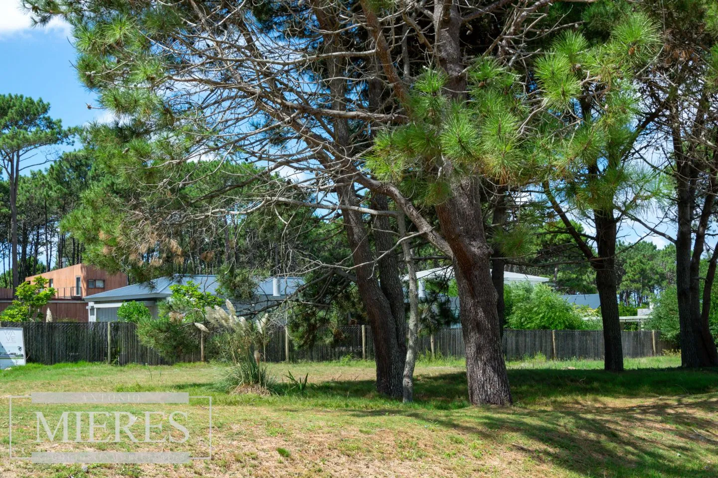 Terreno en José Ignacio — foto 7