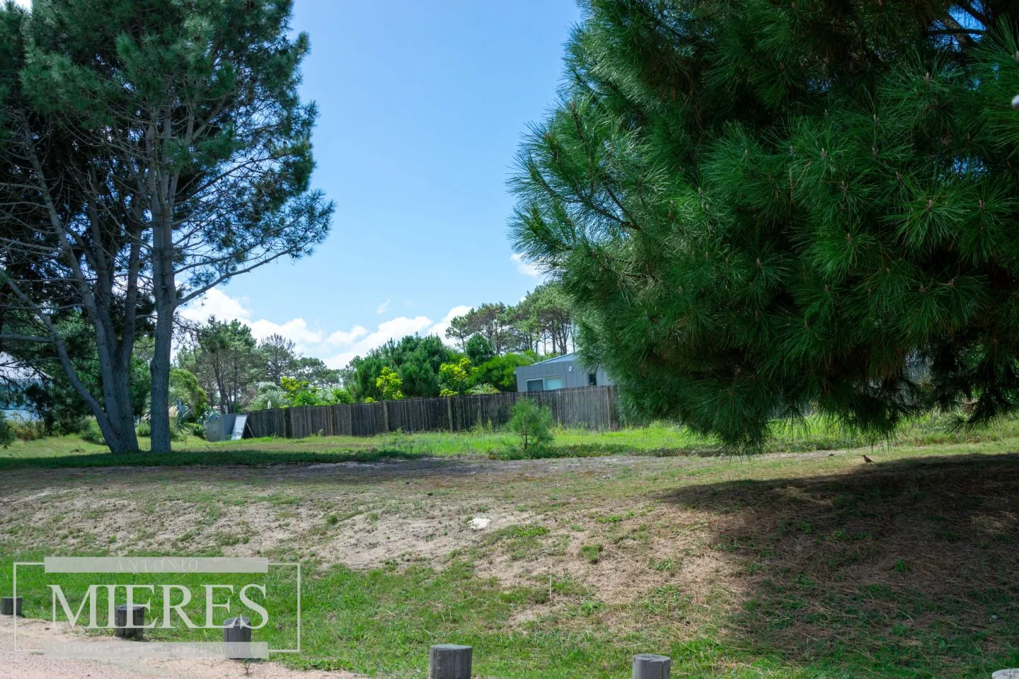 Terreno en José Ignacio — foto 9