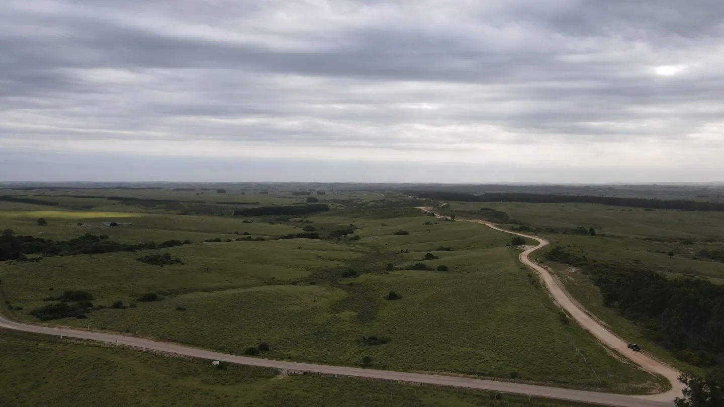 Campo de 42ha Altos de José Ignacio, Garzón — foto 1