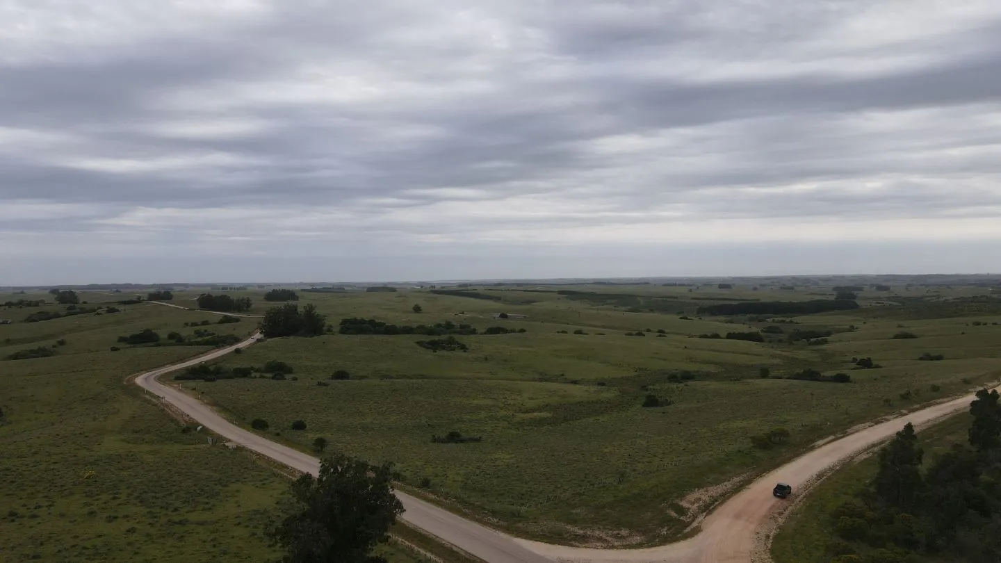 Campo de 42ha Altos de José Ignacio, Garzón — foto 2