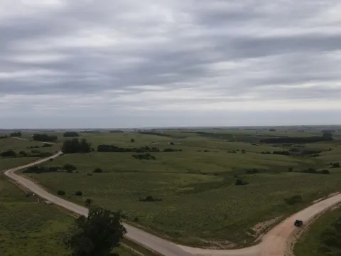 Campo de 42ha Altos de José Ignacio, Garzón — foto 2
