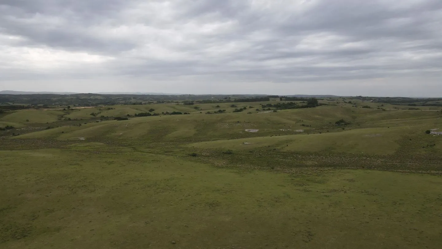 Campo de 42ha Altos de José Ignacio, Garzón — foto 3