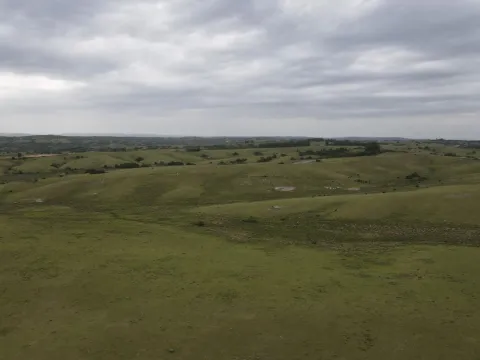 Campo de 42ha Altos de José Ignacio, Garzón — foto 3