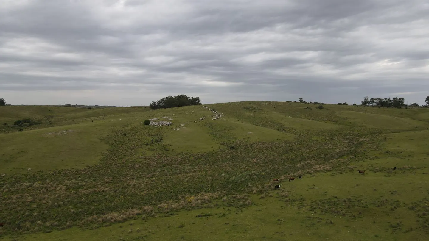 Campo de 42ha Altos de José Ignacio, Garzón — foto 4