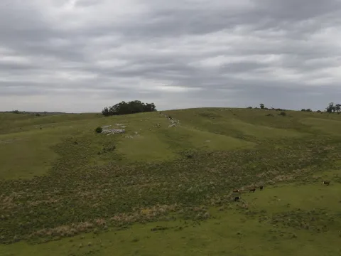Campo de 42ha Altos de José Ignacio, Garzón — foto 4