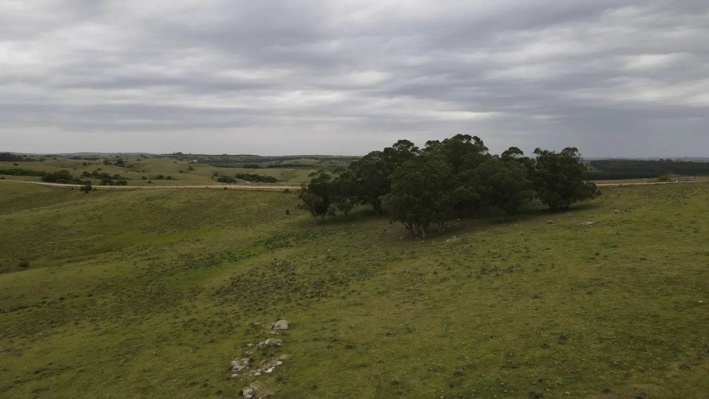 Campo de 42ha Altos de José Ignacio, Garzón — foto 5