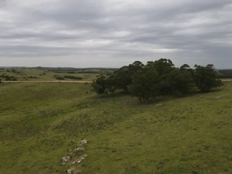 Campo de 42ha Altos de José Ignacio, Garzón — foto 5