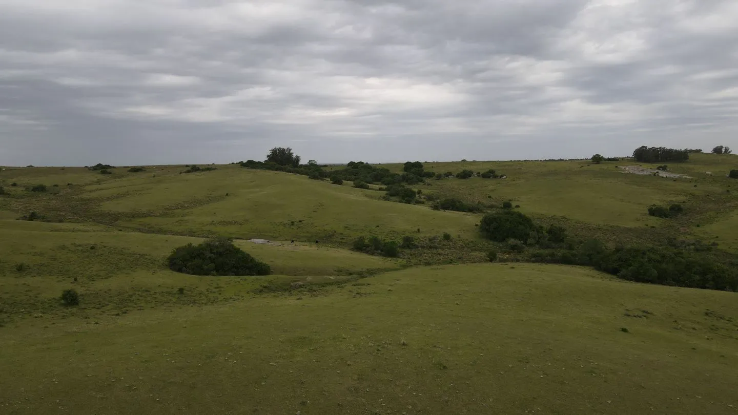 Campo de 42ha Altos de José Ignacio, Garzón — foto 6
