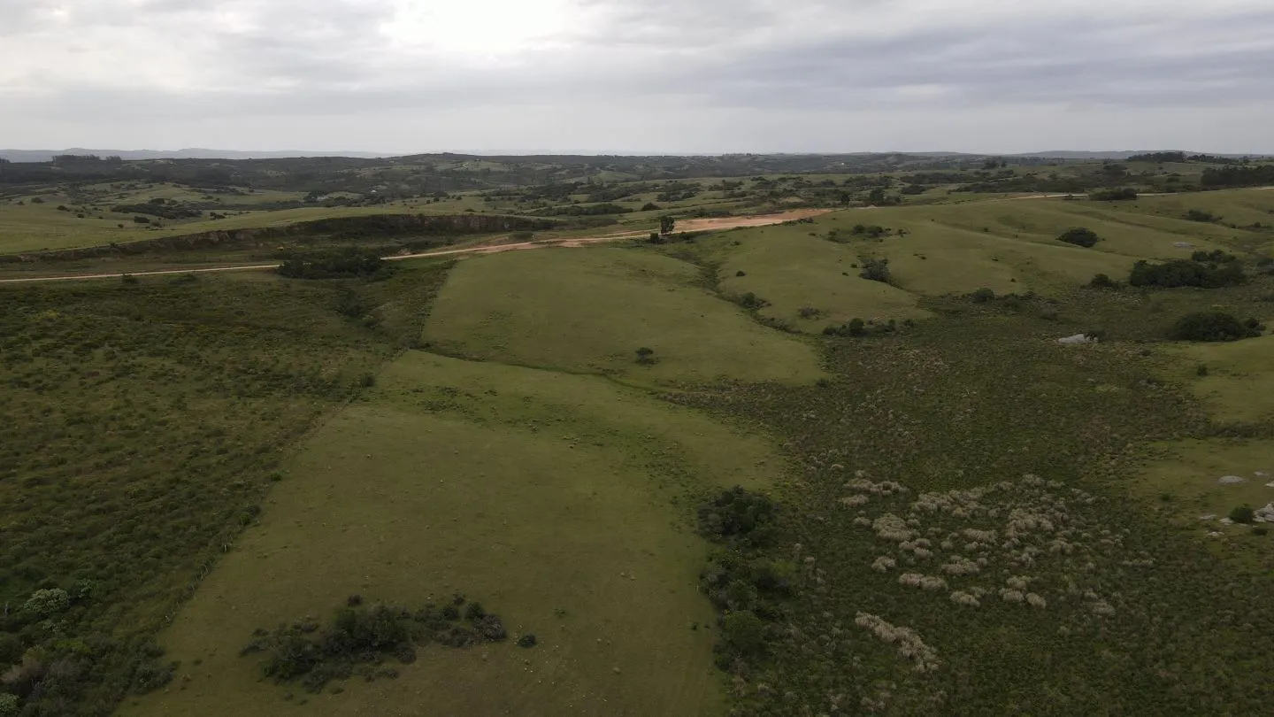 Campo de 42ha Altos de José Ignacio, Garzón — foto 7