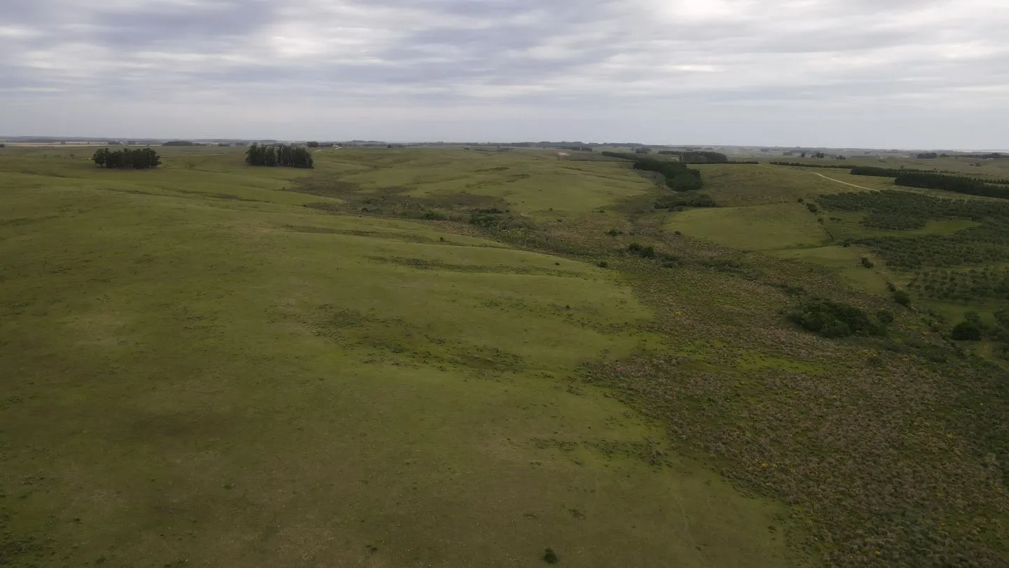 Campo de 42ha Altos de José Ignacio, Garzón — foto 8
