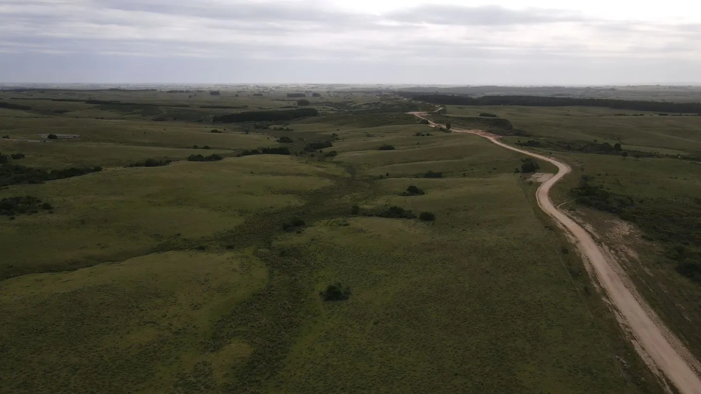 Campo de 42ha Altos de José Ignacio, Garzón — foto 10