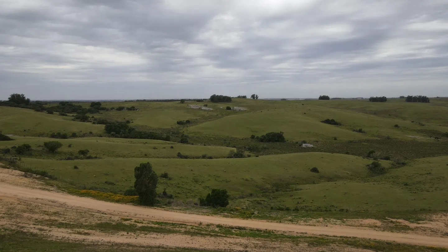 Campo de 42ha Altos de José Ignacio, Garzón — foto 11