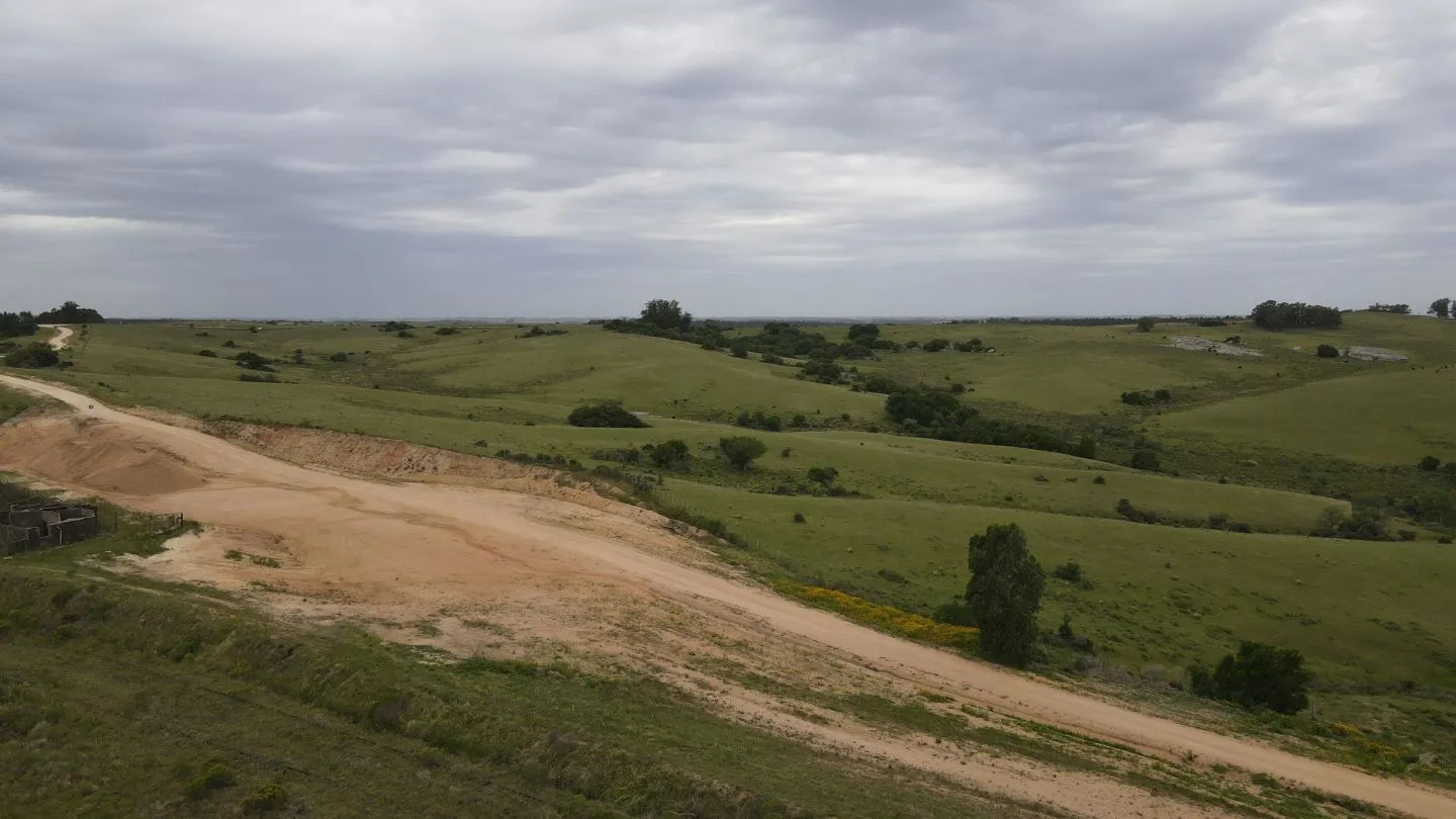 Campo de 42ha Altos de José Ignacio, Garzón — foto 12