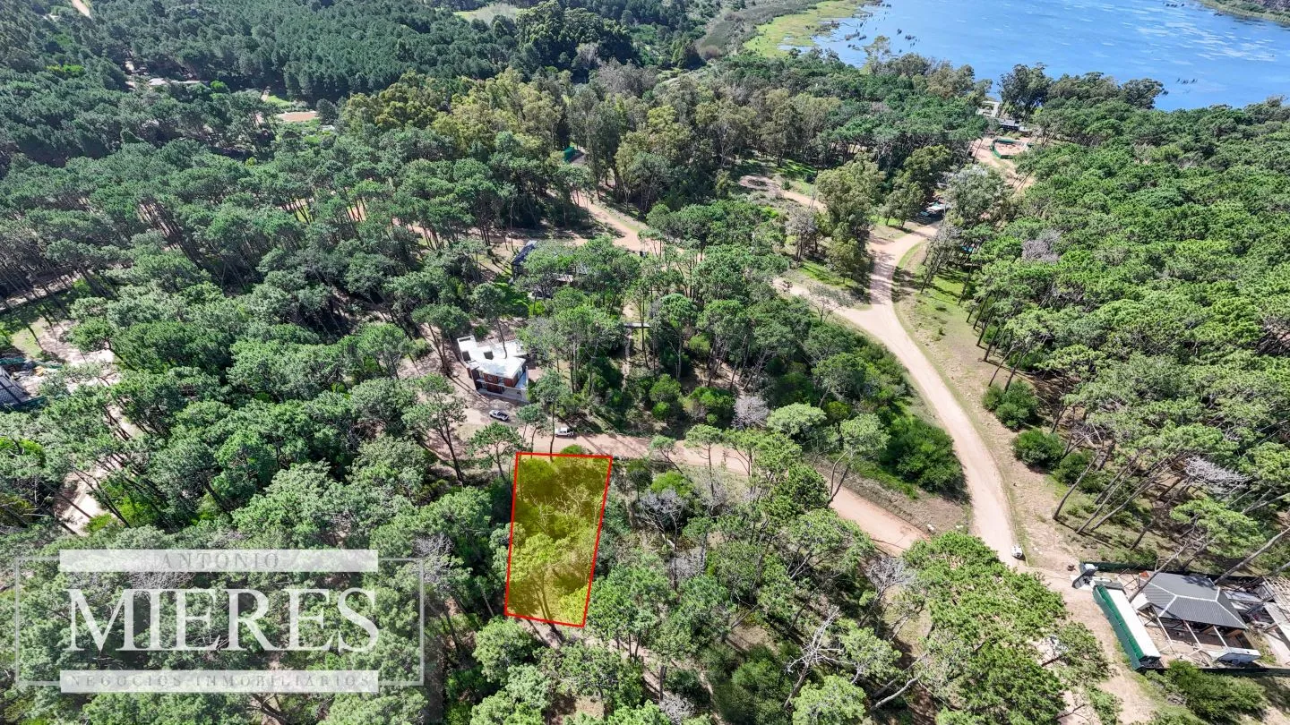 Terreno en La Barra — foto 2