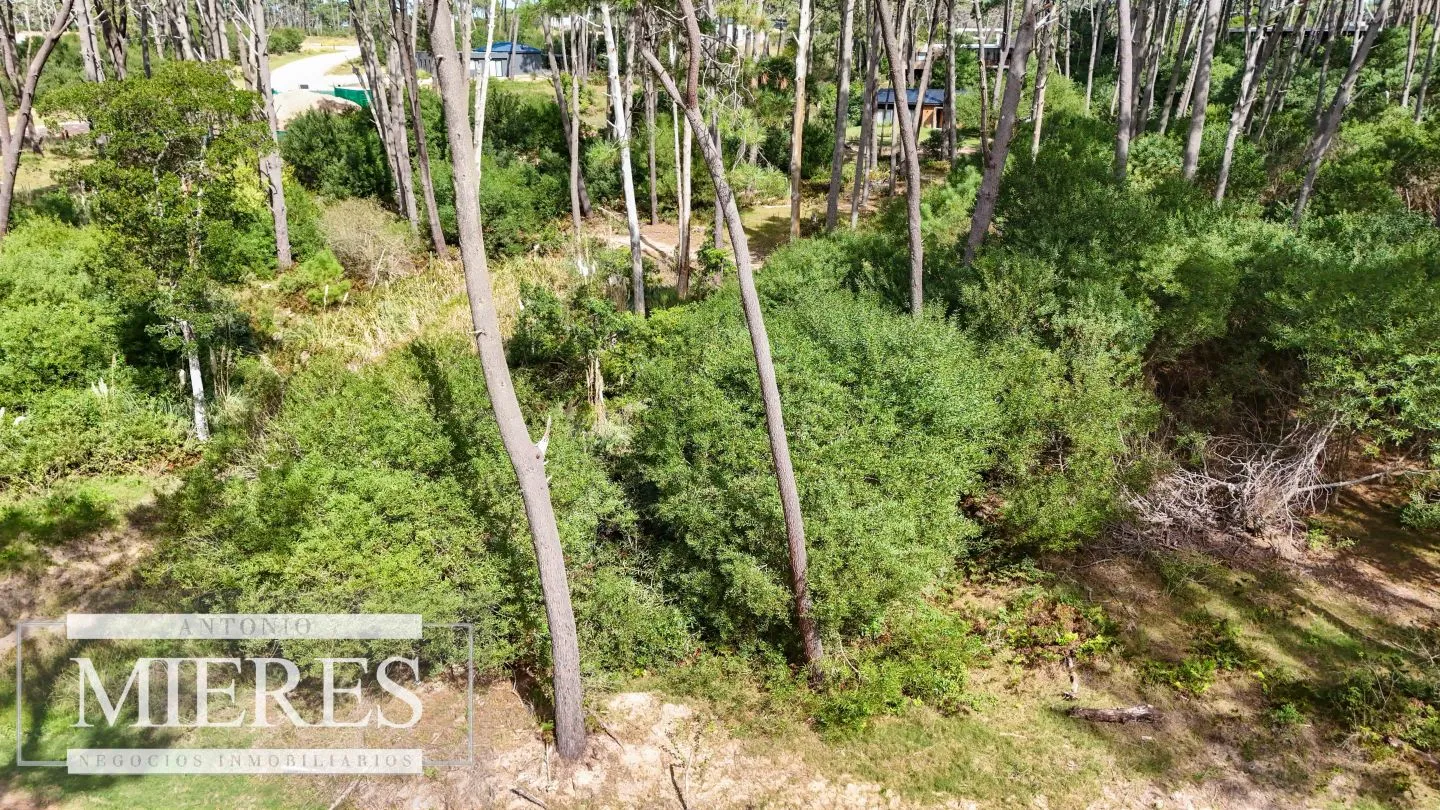 Terreno en La Barra — foto 7