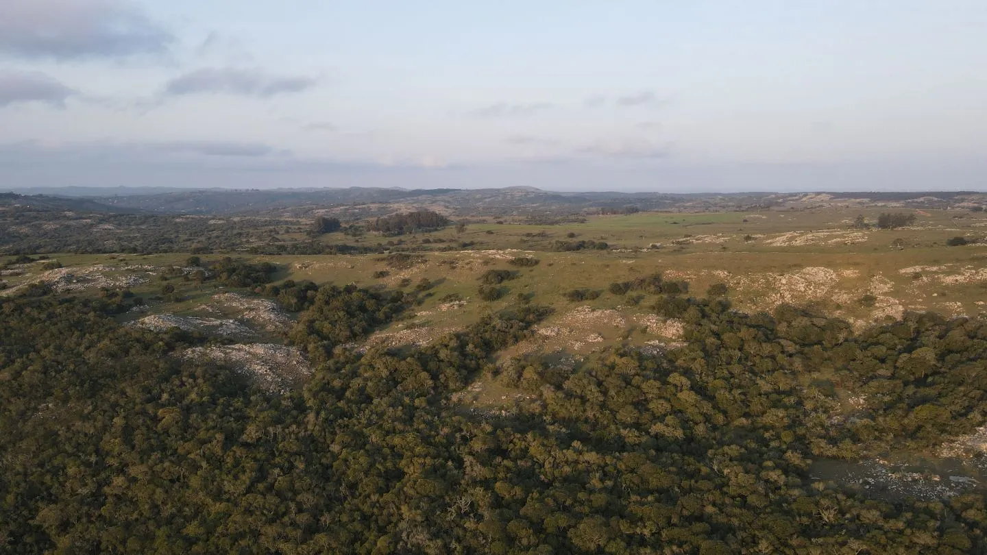 Campo en Lavalleja 395ha — foto 4